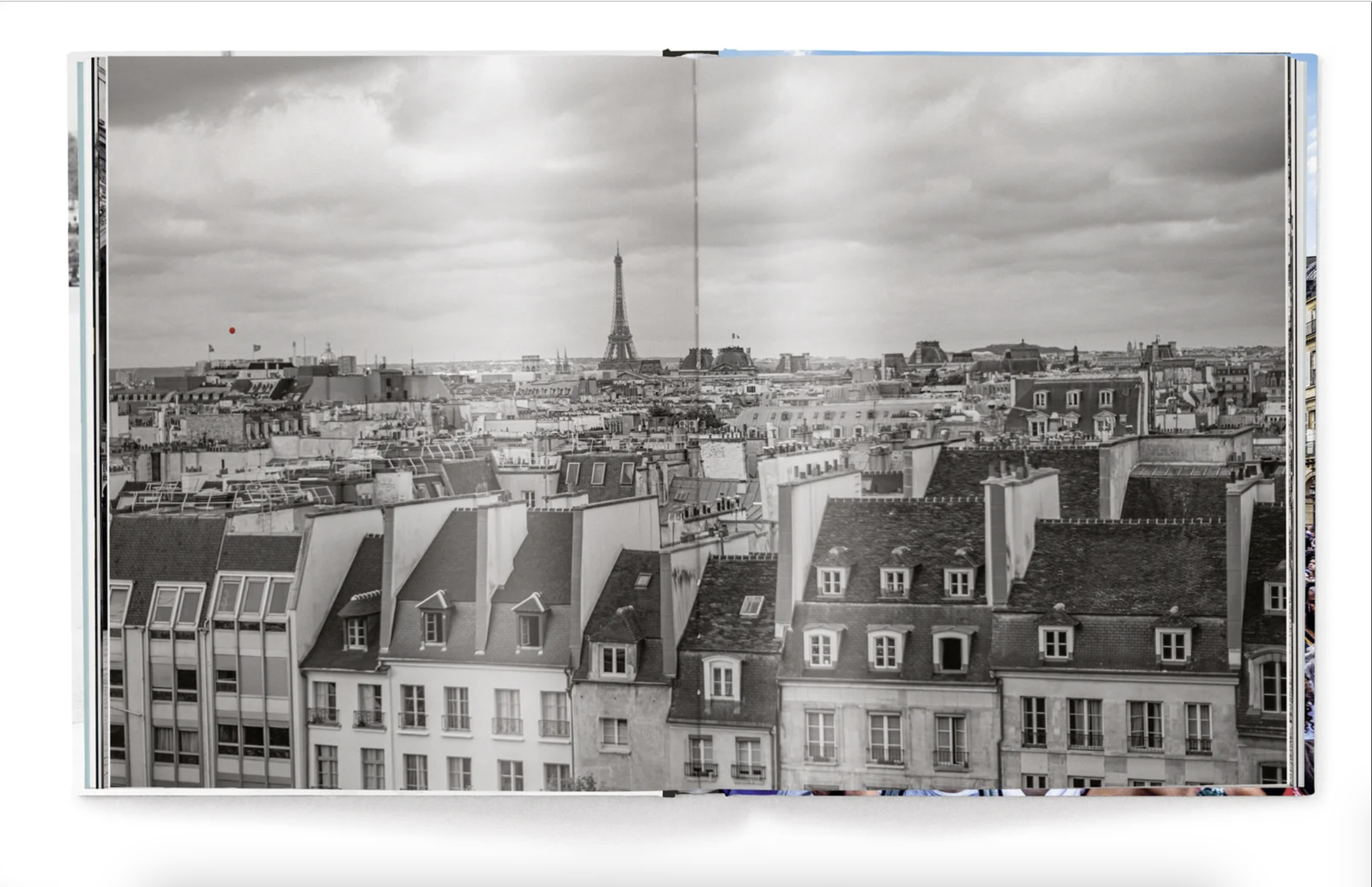 洋書 ELIOTT ERWITT FOTOGRAFIE 📷PRE-ORDER DOGDOGS📷 A dog lover's dream, DogDogs is filled